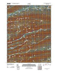 Williamsport SE Pennsylvania Historical topographic map, 1:24000 scale, 7.5 X 7.5 Minute, Year 2010