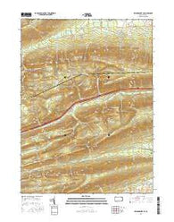 Williamsport SE Pennsylvania Current topographic map, 1:24000 scale, 7.5 X 7.5 Minute, Year 2016