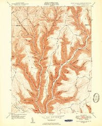Young Womans Creek Pennsylvania Historical topographic map, 1:24000 scale, 7.5 X 7.5 Minute, Year 1946