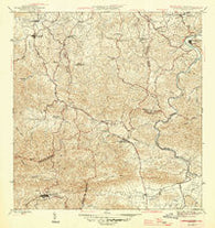 Aguas Buenas Puerto Rico Historical topographic map, 1:30000 scale, 7.5 X 7.5 Minute, Year 1946