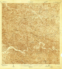 Alto Sano Puerto Rico Historical topographic map, 1:20000 scale, 7.5 X 7.5 Minute, Year 1938
