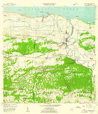 Barceloneta Puerto Rico Historical topographic map, 1:20000 scale, 7.5 X 7.5 Minute, Year 1957