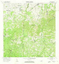 Bayaney Puerto Rico Historical topographic map, 1:20000 scale, 7.5 X 7.5 Minute, Year 1970