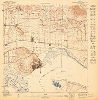Central Aquirre NO Puerto Rico Historical topographic map, 1:10000 scale, 3.75 X 3.75 Minute, Year 1947
