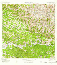 Central La Plata Puerto Rico Historical topographic map, 1:20000 scale, 7.5 X 7.5 Minute, Year 1955