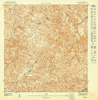 Corozal SE Puerto Rico Historical topographic map, 1:10000 scale, 3.75 X 3.75 Minute, Year 1947