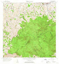 El Yunque Puerto Rico Historical topographic map, 1:20000 scale, 7.5 X 7.5 Minute, Year 1958