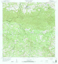Florida Puerto Rico Historical topographic map, 1:20000 scale, 7.5 X 7.5 Minute, Year 1957