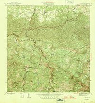 Florida Puerto Rico Historical topographic map, 1:30000 scale, 7.5 X 7.5 Minute, Year 1946