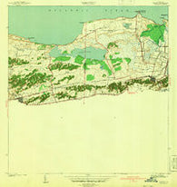 Manati Puerto Rico Historical topographic map, 1:30000 scale, 7.5 X 7.5 Minute, Year 1942
