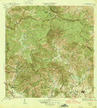Patillas Puerto Rico Historical topographic map, 1:30000 scale, 7.5 X 7.5 Minute, Year 1946