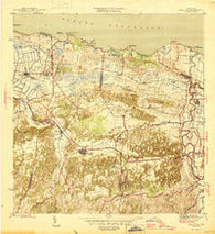 Vega Alta Puerto Rico Historical topographic map, 1:30000 scale, 7.5 X 7.5 Minute, Year 1946