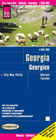Buy map Georgia Road Map