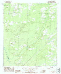 Black Creek South Carolina Historical topographic map, 1:24000 scale, 7.5 X 7.5 Minute, Year 1988