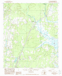 Coosawhatchie South Carolina Historical topographic map, 1:24000 scale, 7.5 X 7.5 Minute, Year 1988