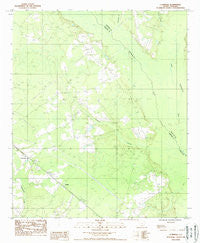 Cummings South Carolina Historical topographic map, 1:24000 scale, 7.5 X 7.5 Minute, Year 1988