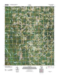 Dongola South Carolina Historical topographic map, 1:24000 scale, 7.5 X 7.5 Minute, Year 2011