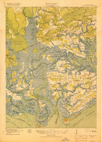 Edisto Island South Carolina Historical topographic map, 1:62500 scale, 15 X 15 Minute, Year 1919