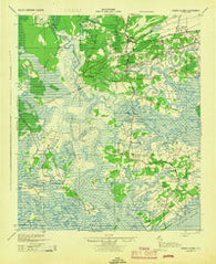 Edisto Island South Carolina Historical topographic map, 1:62500 scale, 15 X 15 Minute, Year 1943