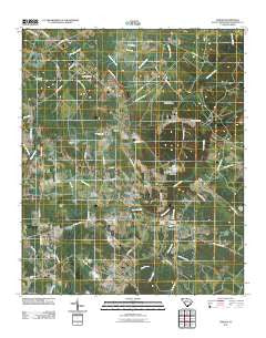Fowler South Carolina Historical topographic map, 1:24000 scale, 7.5 X 7.5 Minute, Year 2011
