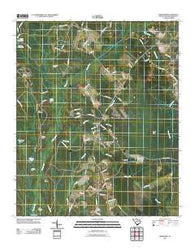 Friendship South Carolina Historical topographic map, 1:24000 scale, 7.5 X 7.5 Minute, Year 2011