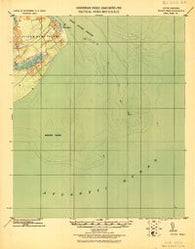 Hilton Head South Carolina Historical topographic map, 1:62500 scale, 15 X 15 Minute, Year 1920