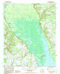 Lone Star South Carolina Historical topographic map, 1:24000 scale, 7.5 X 7.5 Minute, Year 1988