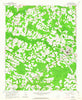 Loris South Carolina Historical topographic map, 1:24000 scale, 7.5 X 7.5 Minute, Year 1962