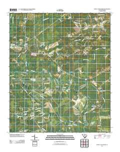 Maple Cane Swamp South Carolina Historical topographic map, 1:24000 scale, 7.5 X 7.5 Minute, Year 2011