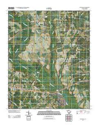 Mayesville South Carolina Historical topographic map, 1:24000 scale, 7.5 X 7.5 Minute, Year 2011