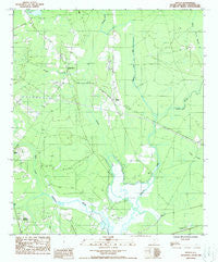 Neyles South Carolina Historical topographic map, 1:24000 scale, 7.5 X 7.5 Minute, Year 1988