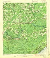 Nixonville South Carolina Historical topographic map, 1:62500 scale, 15 X 15 Minute, Year 1942