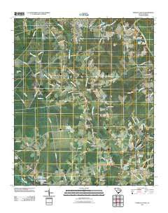 Pamplico South South Carolina Historical topographic map, 1:24000 scale, 7.5 X 7.5 Minute, Year 2011