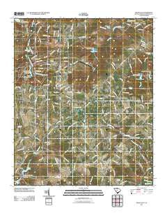 Pelion East South Carolina Historical topographic map, 1:24000 scale, 7.5 X 7.5 Minute, Year 2011