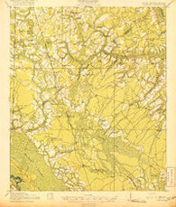Pineland South Carolina Historical topographic map, 1:62500 scale, 15 X 15 Minute, Year 1919