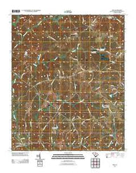 Rion South Carolina Historical topographic map, 1:24000 scale, 7.5 X 7.5 Minute, Year 2011