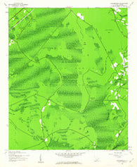 Shulerville South Carolina Historical topographic map, 1:24000 scale, 7.5 X 7.5 Minute, Year 1943