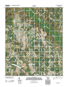 Sycamore South Carolina Historical topographic map, 1:24000 scale, 7.5 X 7.5 Minute, Year 2011