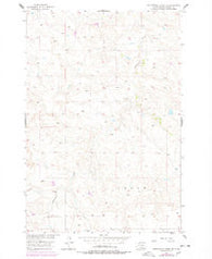 Cottonwood Creek SE South Dakota Historical topographic map, 1:24000 scale, 7.5 X 7.5 Minute, Year 1956