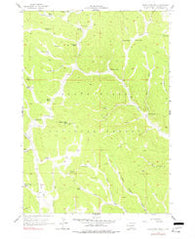 Crows Nest Peak South Dakota Historical topographic map, 1:24000 scale, 7.5 X 7.5 Minute, Year 1956