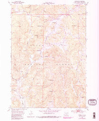 Fourmile South Dakota Historical topographic map, 1:24000 scale, 7.5 X 7.5 Minute, Year 1954
