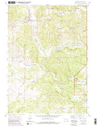 Pringle South Dakota Historical topographic map, 1:24000 scale, 7.5 X 7.5 Minute, Year 1956