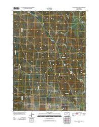 Yellow Bear Camp South Dakota Historical topographic map, 1:24000 scale, 7.5 X 7.5 Minute, Year 2012