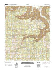Altamont Tennessee Historical topographic map, 1:24000 scale, 7.5 X 7.5 Minute, Year 2013