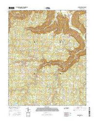 Altamont Tennessee Current topographic map, 1:24000 scale, 7.5 X 7.5 Minute, Year 2016