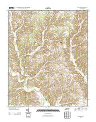 Appleton Tennessee Historical topographic map, 1:24000 scale, 7.5 X 7.5 Minute, Year 2013