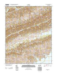 Avondale Tennessee Historical topographic map, 1:24000 scale, 7.5 X 7.5 Minute, Year 2013
