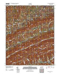 Back Valley Tennessee Historical topographic map, 1:24000 scale, 7.5 X 7.5 Minute, Year 2011