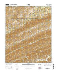 Back Valley Tennessee Current topographic map, 1:24000 scale, 7.5 X 7.5 Minute, Year 2016