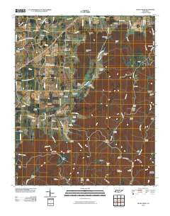 Beans Creek Tennessee Historical topographic map, 1:24000 scale, 7.5 X 7.5 Minute, Year 2010